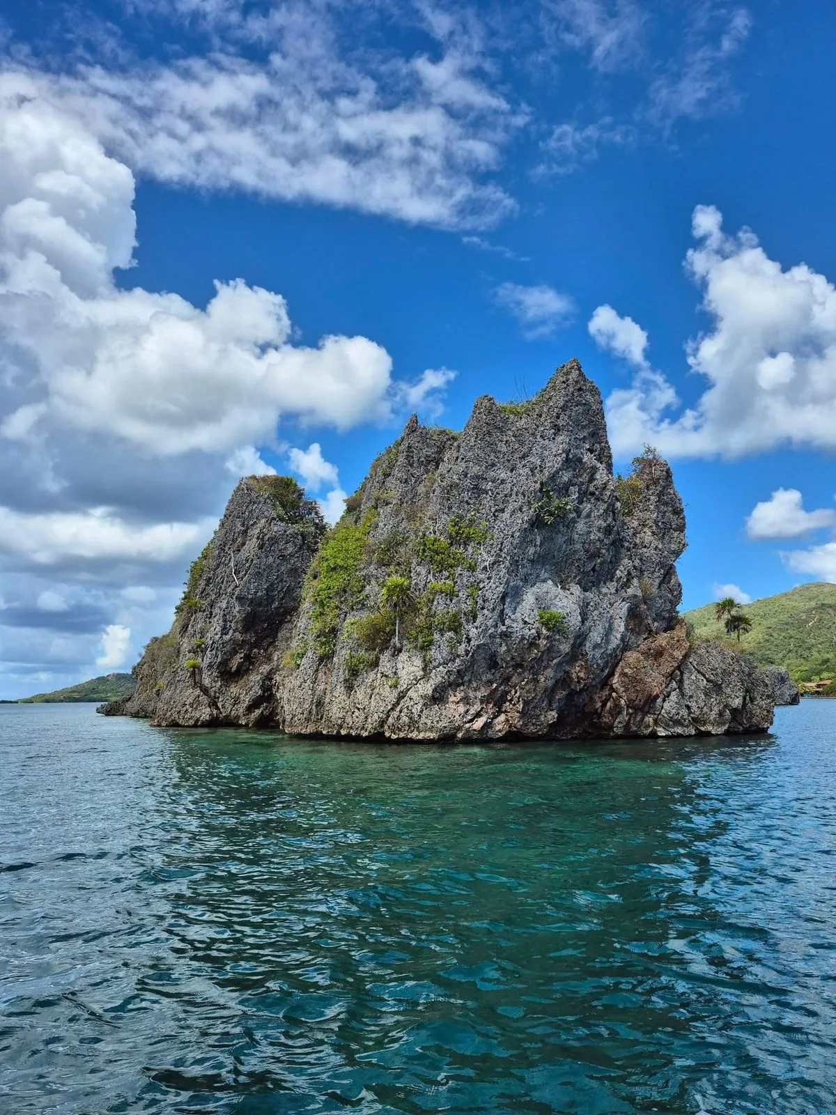 Foto de galería de tours en Roatán 4
